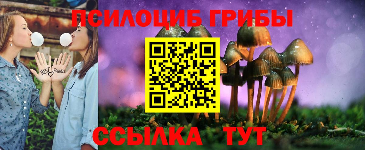 Галлюциногенные грибы Psilocybe  Галлюциногенные грибы прущие грибы  Киров  Вход с VPN 